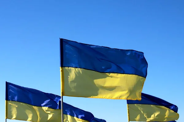 Большая Часть Флага Украины Развевается Ветру Героическая Борьба Украинского Народа — стоковое фото