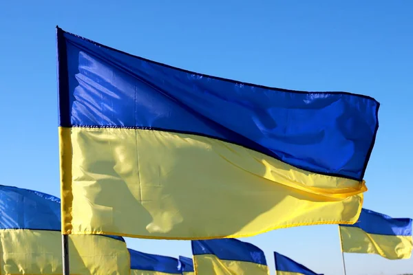 Lot Ukraine Flag Fluttering Wind Heroic Struggle Ukrainian People Russian — Stock Photo, Image