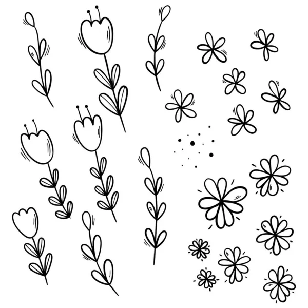 Doodle flores de contorno negro conjunto en blanco. — Vector de stock