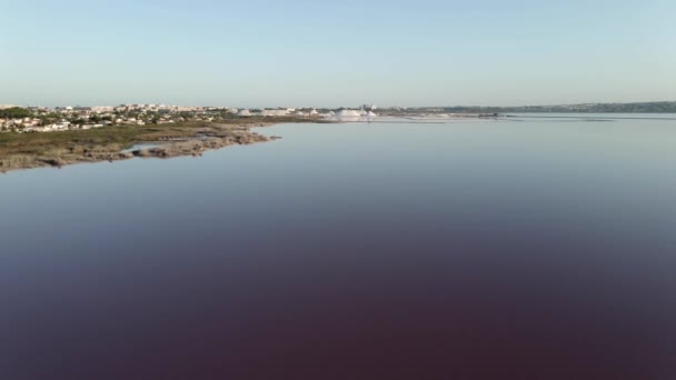 アリカンテ・スペインのTorreevieja市のLas Salinasの塩工場に向かって湖を速く飛ぶ。空中ドローン — ストック動画