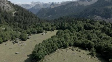 Güneşli bir sabahta Fransa 'nın Pireneler kentindeki dağ sırasının üzerinde yemyeşil bir ormanın havadan çekilmiş güzel görüntüleri. - Yatay 4K videosu