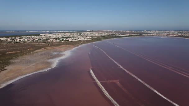 Las Salinas Torrevieja Cityscape Akdeniz Havadan Görüntüsü Alicante Spanya Nın — Stok video
