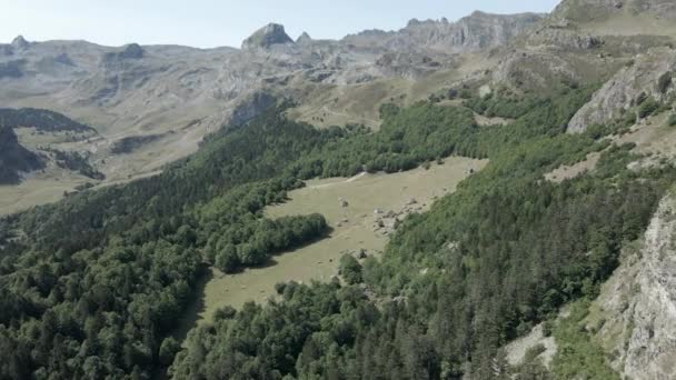 砂利道のある山の斜面の緑豊かな緑の森と美しい晴れた朝のフランスのピレネー山脈の孤立した家の上の空中ビュー 水平方向の4Kビデオ — ストック動画
