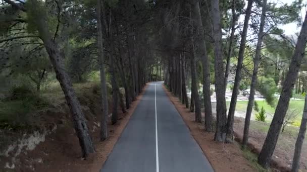 Push Out Aerial Couple Walking Forward Path Trees Spain Horizontal — Vídeos de Stock