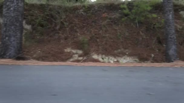 Pan Jambes Couple Marchant Sur Chemin Béton Par Forêt Randonnée — Video