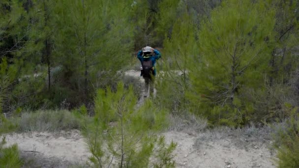 Wide Slomo Girl Trekking Green Conifer Forest Spain Horizontal Video — Video