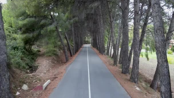 Couple Run Forward Concrete Path Lined Trees Forward Aerial Horizontal — Vídeos de Stock