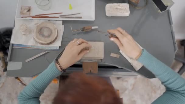 Young Entrepreneur Making Pet Jewelry Table Using Artisan Tools Overhead — Stock video