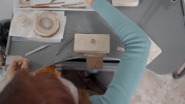 Overhead Shot Young Creative Woman Her Working Table Making Pet — Stock video