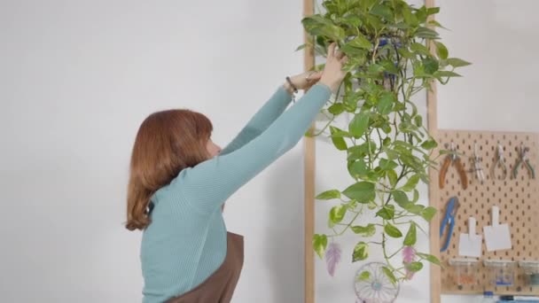 Mujer Usando Delantal Poda Colgante Planta Interior Fotografía Media Vídeo — Vídeo de stock