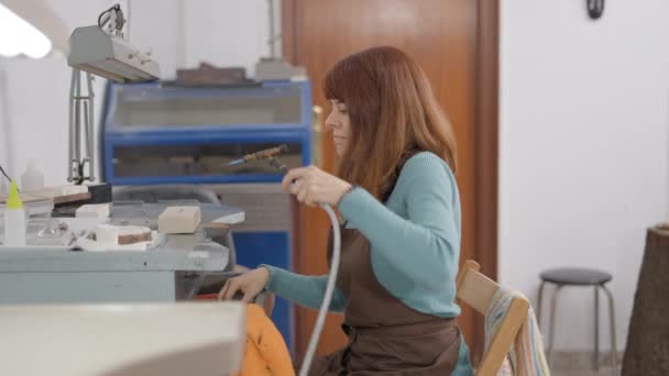 Artisan Freelance Fabrication Accessoires Pour Animaux Compagnie Atelier Vue Latérale — Video