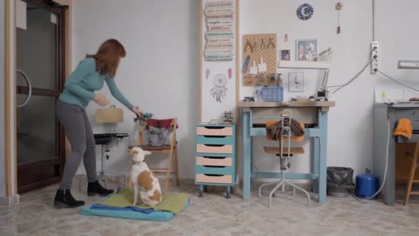 Женщина Мастерской Украшениям Домашних Животных Очаровательной Собакой Спутницей Сидящей Полу — стоковое видео
