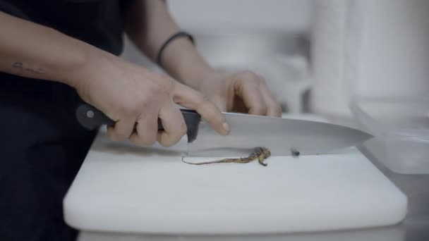 Unrecognizable Chef Cuts Vegetables Cutting Board Close Side View Horizontal — Stock video