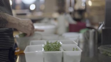 Şef plastik kaplarda sebze ve otları sınıflandırır, yan görüş - 4K yatay video