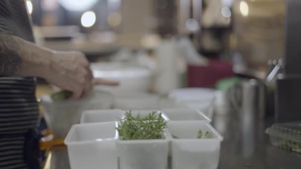 Chef Sorteert Groenten Kruiden Plastic Bakjes Zijaanzicht Sluiten Horizontale Video — Stockvideo