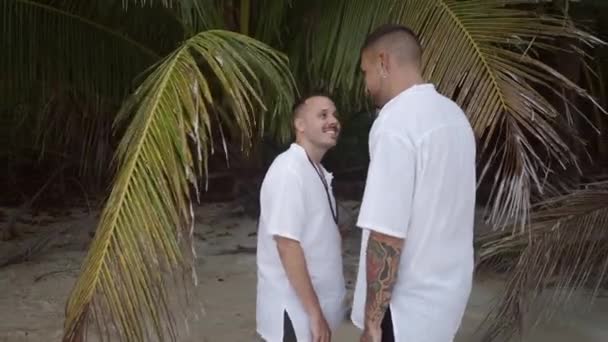 Two Male Gay Lovers Kissing Tropical Beach Palm Tree Smiling — Vídeo de Stock