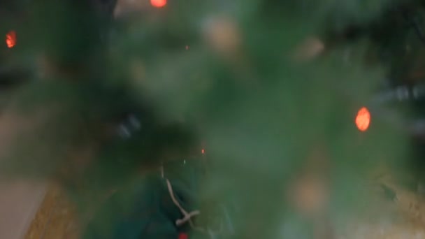 Όμορφο Χριστουγεννιάτικο Δέντρο Γεμάτο Στολίδια Και Λαμπερά Φώτα Κορδόνι Tracking — Αρχείο Βίντεο