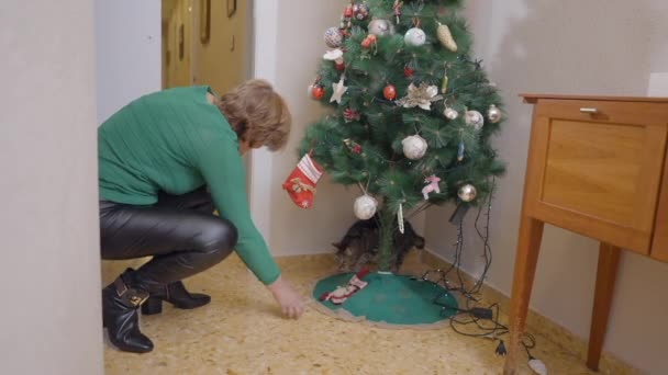 Äldre Kvinna Rullande Bit Julprydnad Leker Med Sin Katt Gömmer — Stockvideo
