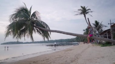 Young adult traveler man riding bent Palm tree at the island village beach at golden hour - gimbal shot - 4K Horizontal video