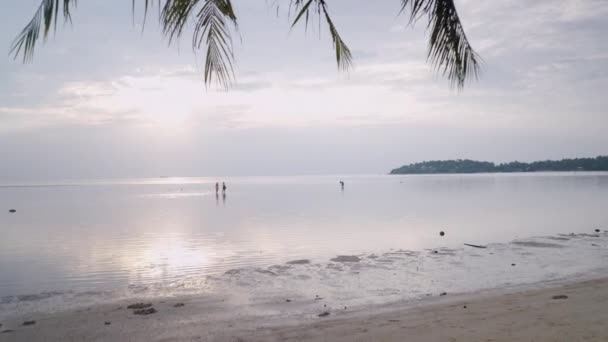 Push Back Shot Sunset Sea Man Traveler Sitting Palm Bent — Stockvideo