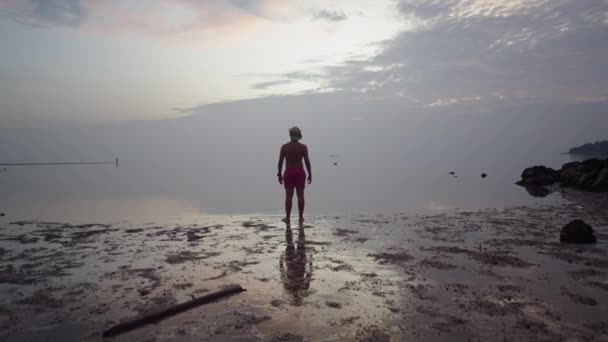 Visão Traseira Homem Viajante Desfrutando Beira Mar Colorido Dramático Pôr — Vídeo de Stock