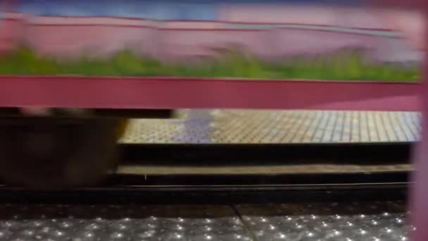 Close Trams Car Wheels Rolling Railroad Rails Amusement Park Attraction — Stockvideo