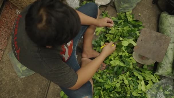 Kaffir Lime Leaves Being Cut Seller While Wearing Facemask Pak — стоковое видео