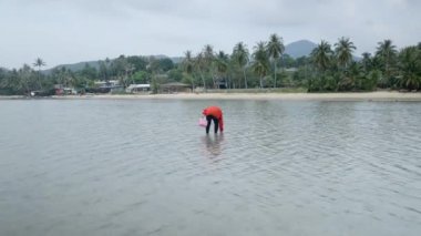 Tayland 'ın Surat Thani Eyaleti, Ko Pha-Ngan' ın Placid Deniz tabanından İstiridye Toplayan Bir İstiridye. Statik Tam Çekim - 4K Yatay Görüntü