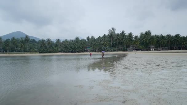 Two Locals Searching Clams Low Tide View Vast Coconut Palm — 图库视频影像