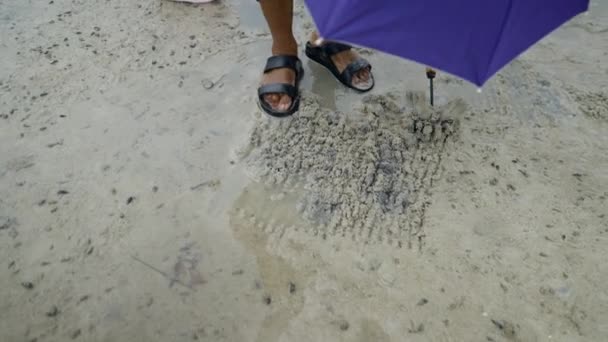 Cropped View Person Wearing Umbrella Hat Raking Clams Sand Koh — Video