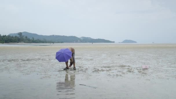 Woman Umbrella Hat Bending While Raking Mud Find Clams Low — стоковое видео