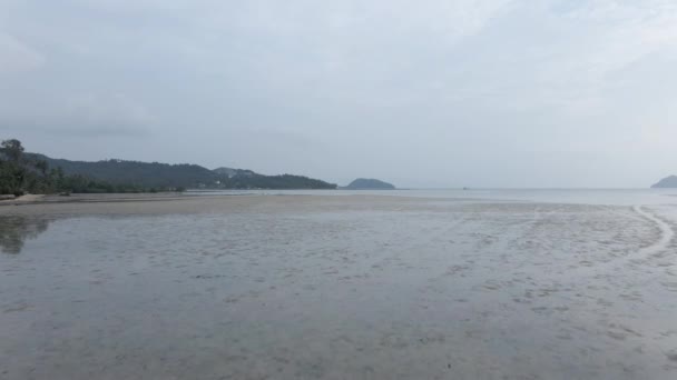 Locals Picking Clams Beach Low Tide Koh Phangan Thailand Wide — Video