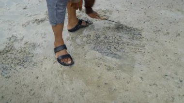 Thai Local Raking Into The Mudflat To Find Fresh Clams At Low Tide. - high angle - 4K Horizontal video