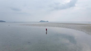Tayland 'daki Ko Pha Ngan' ın doğal sahil manzarasından uçarak uzaklaşıyor. Drone Pullback - 4K Yatay Video