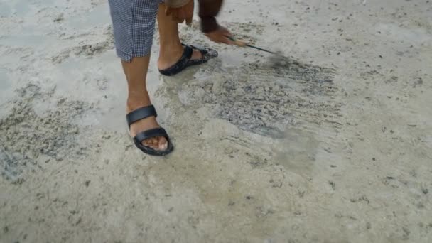 Thai Local Raking Mudflat Find Fresh Clams Low Tide High — Wideo stockowe