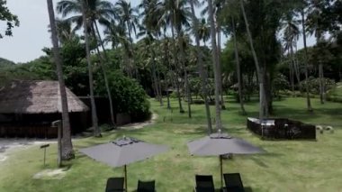 Havuz ve güneşli yataklarla birlikte güzel bir doğanın insansız hava aracı görüntüsü. Bir çift havuzda yüzerken görülüyor - 4K Yatay video