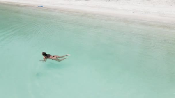 Aerial View Swimming Woman Swims Sea Summer Seascape Girl Clear — 图库视频影像