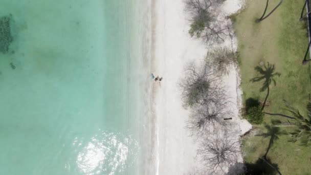 Aerial View Young Couple Running Beach Top Angel Shot Beautiful — Vídeos de Stock