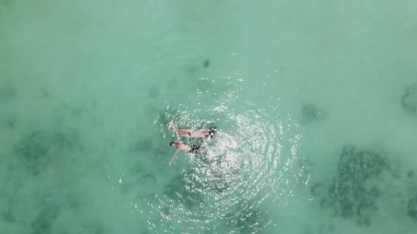 Aerial View Couple Swimming Sea Tropical Beach Floating Turquoise Water — ストック動画