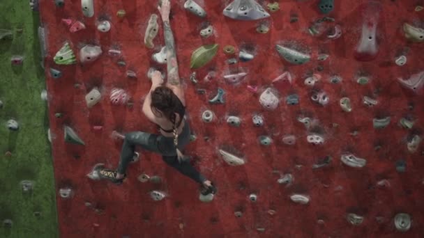 Wide Shot Professional Climber Training Artificial Rock Wall Horizontal Video — Stock videók