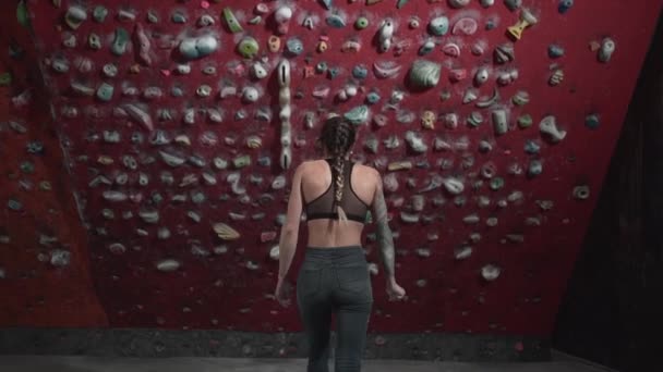 Wide Shot Young Athlete Approaching Artificial Rock Wall Starts Climbing — Stockvideo