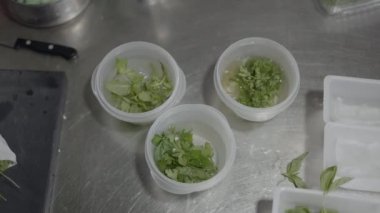 Overhead shot of chef hands putting herbs in plastic containers - 4K Horizontal video