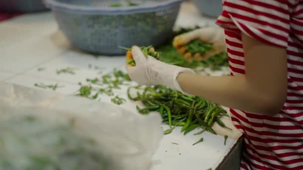 Hands Female Merchant Kneading Green Chilli Pepper Thai Market Horizontal — Wideo stockowe