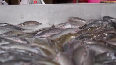 Fresh alive fish struggling in Bangkok flea market - 4K Horizontal video