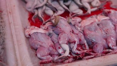 Skinned frog, eel and alive fish fresh for cooking in Thai seafood market - 4K Horizontal video