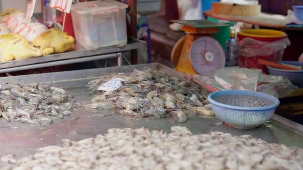 Alive Lobsters Movement Asian Flea Market Horizontal Video — Stockvideo