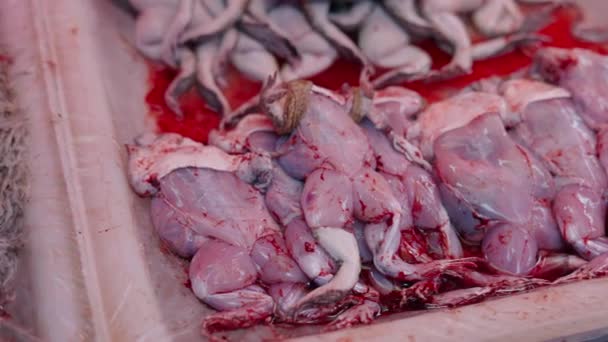 Skinned Frog Eel Alive Fish Fresh Cooking Thai Seafood Market — Vídeo de stock