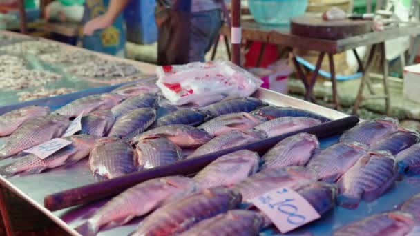 Group Carp Fish Suffocating Asian Street Market Slow Motion Horizontal — Vídeo de Stock