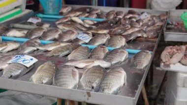 Fresh fish choking without water in Khlong Toei Market Bangkok - 4K Horizontal video