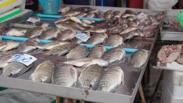 Φρέσκο Ψάρι Πνίγεται Χωρίς Νερό Στην Αγορά Khlong Toei Μπανγκόκ — Αρχείο Βίντεο